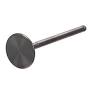 Exhaust Valve Titanium-8400053