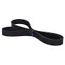 Belt-8pk1590