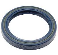 Shaft Seal-12010931B