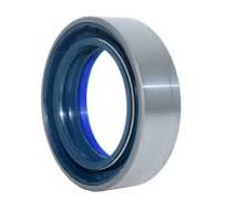 Shaft seal -12012377B