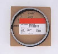 Oil Seal-4089644