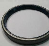 Seal Ring-01002938B