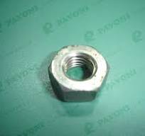 NUT-11701711