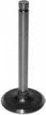 INTAKE VALVE STD - C5NN6507B
